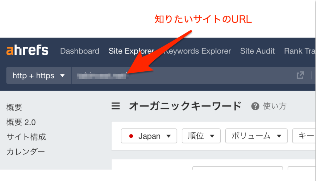 知りたいサイトのURLを入力する